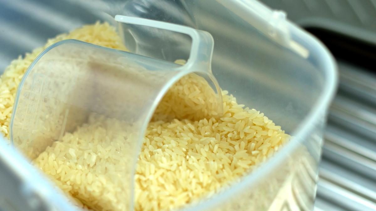 7 Tips Menyimpan Beras di Cuaca Panas dan Lembap Agar Tidak Berkutu