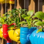 8 Tanaman Ideal untuk Kebun Gantung Botol Bekas di Lahan Terbatas