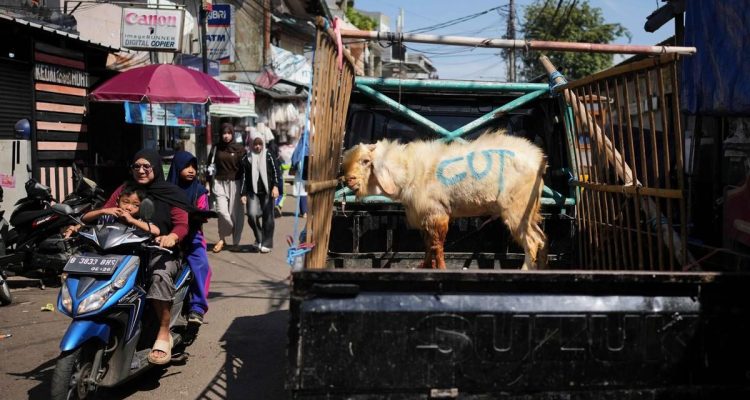 Aturan Baru di Jakarta: Panitia Dilarang Keras Buang Darah dan Sisa Kurban ke Selokan