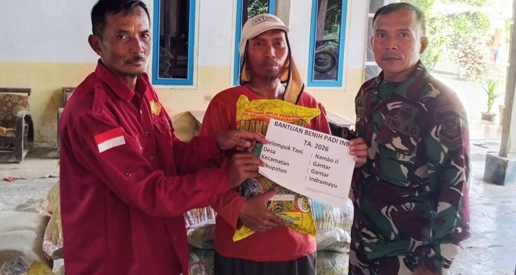 Babinsa Gantar Kawal Distribusi Bibit Padi Dukung Petani