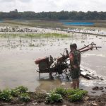 Babinsa Jatisura Dampingi Petani Olah Lahan MT II Cikedung