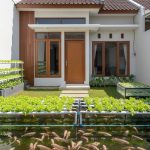 Budidaya Nila dan Selada Sistem Aquaponik untuk Pemula di Rumah