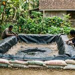 Cara Membuat Kolam Ikan dari Karung Tanpa Semen, Cepat & Hemat