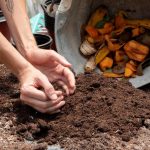 Cara Mudah Mengompos Sampah Sayur di Rumah Secara Ramah Lingkungan
