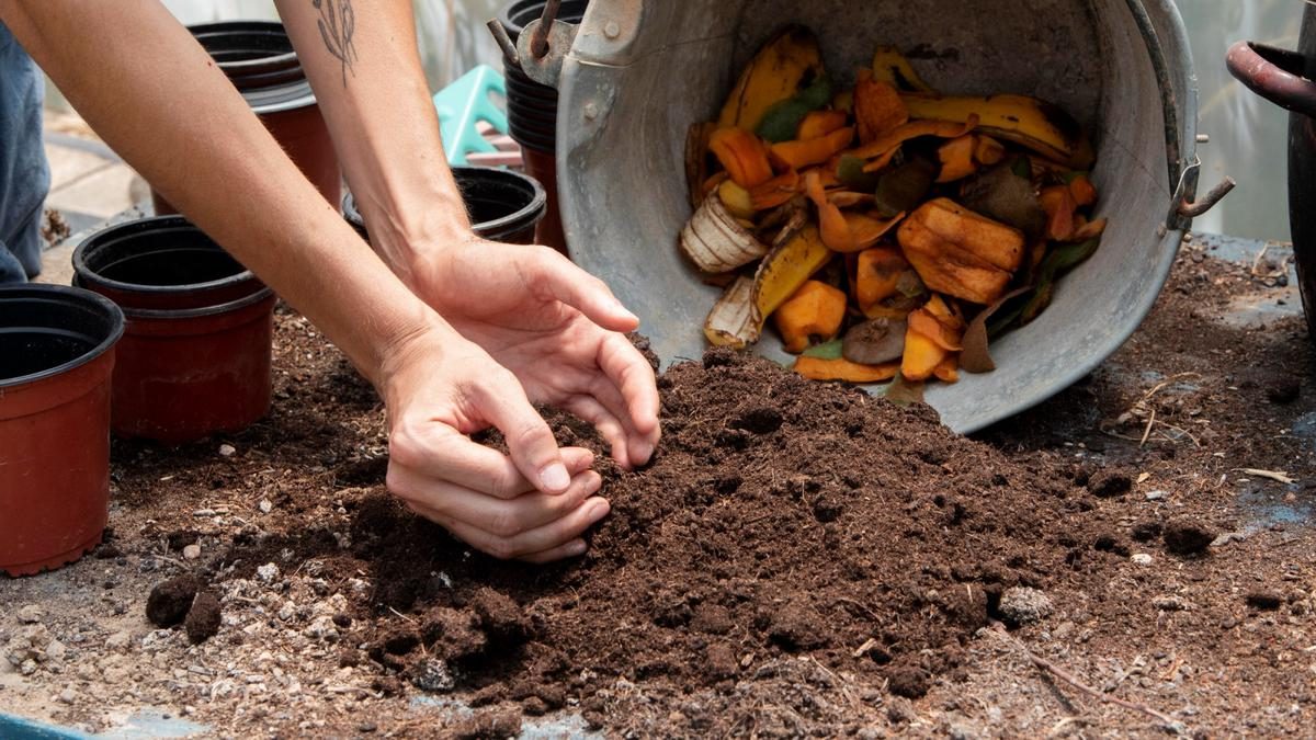 Cara Mudah Mengompos Sampah Sayur di Rumah Secara Ramah Lingkungan