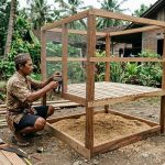 Cara Ternak Ayam Aman dari Tikus dan Ular dengan Kandang Tepat