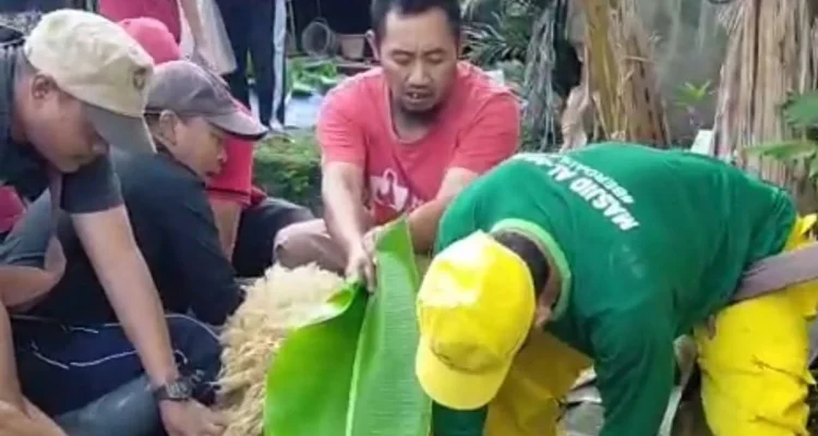 Daging Kurban Indramayu: Warga Manggungan Sambut Sukacita