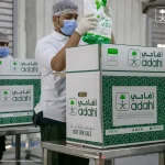 Dana Dam Haji Arab Saudi Lewat Adahi, Kemenag Tegaskan Larangan Beli Hewan Langsung