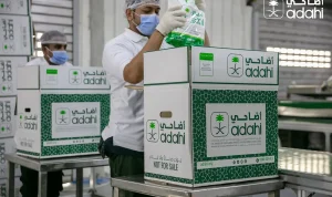 Dana Dam Haji Arab Saudi Lewat Adahi, Kemenag Tegaskan Larangan Beli Hewan Langsung