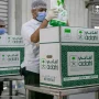 Dana Dam Haji Arab Saudi Lewat Adahi, Kemenag Tegaskan Larangan Beli Hewan Langsung