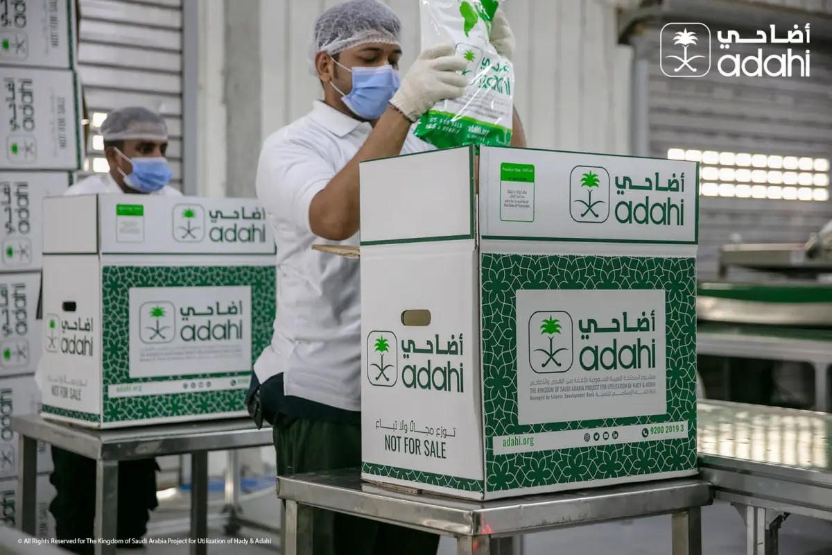 Dana Dam Haji Arab Saudi Lewat Adahi, Kemenag Tegaskan Larangan Beli Hewan Langsung