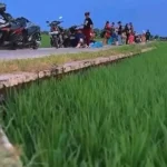 Dedi Mulyadi Atur Izin Lahan, Lucky Hakim Sesuaikan Tata Ruang Indramayu