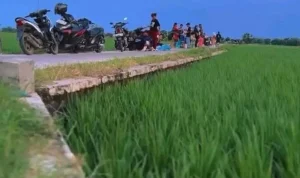 Dedi Mulyadi Atur Izin Lahan, Lucky Hakim Sesuaikan Tata Ruang Indramayu