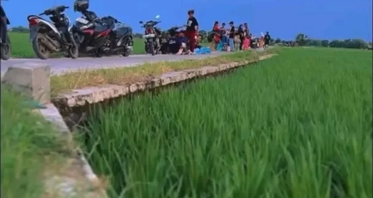 Dedi Mulyadi Atur Izin Lahan, Lucky Hakim Sesuaikan Tata Ruang Indramayu