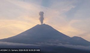 Erupsi Gunung Semeru, Kolom Abu Naik 1 Km