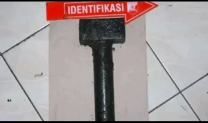 Fakta Baru Kasus Paoman: Palu Besi Ditemukan Polisi