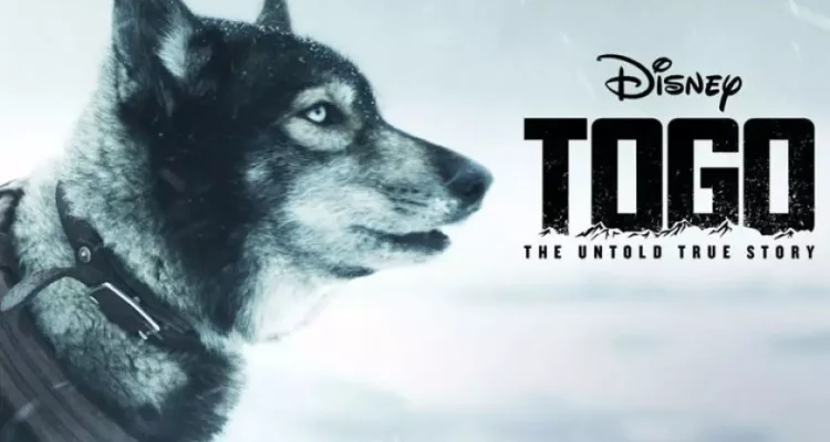 Film Anjing Polisi Pemberani dan Pengorbanannya