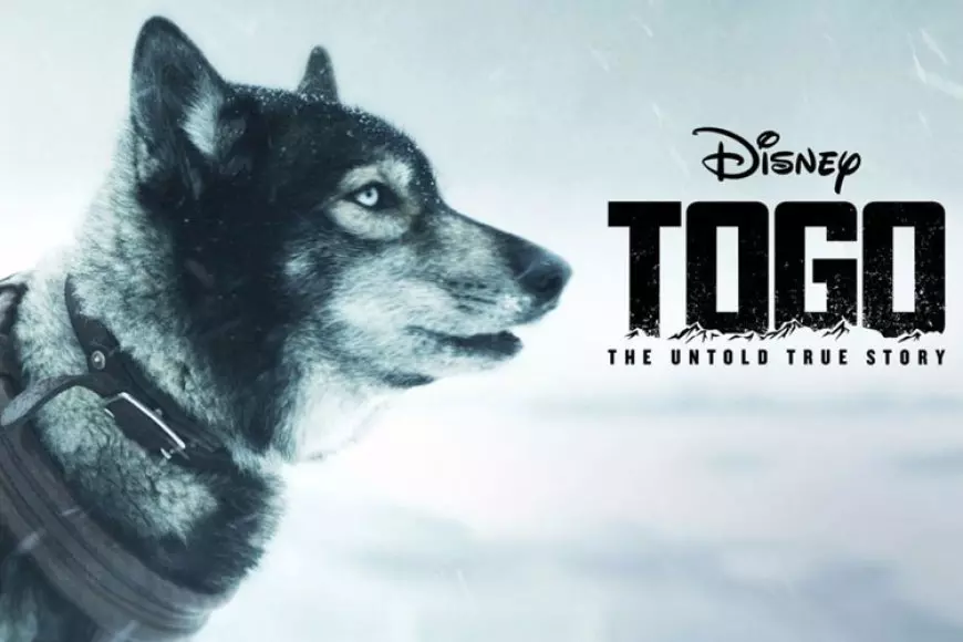 Film Anjing Polisi Pemberani dan Pengorbanannya