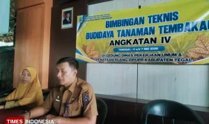 Gairah Petani Tembakau Tegal Terbuka Seiring Peluang Industri