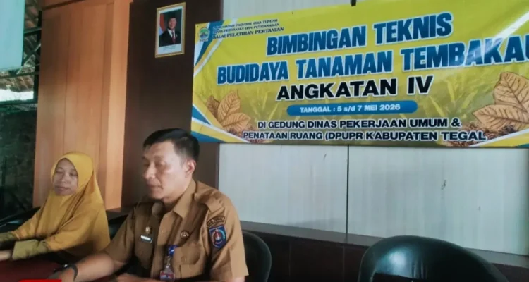 Gairah Petani Tembakau Tegal Terbuka Seiring Peluang Industri
