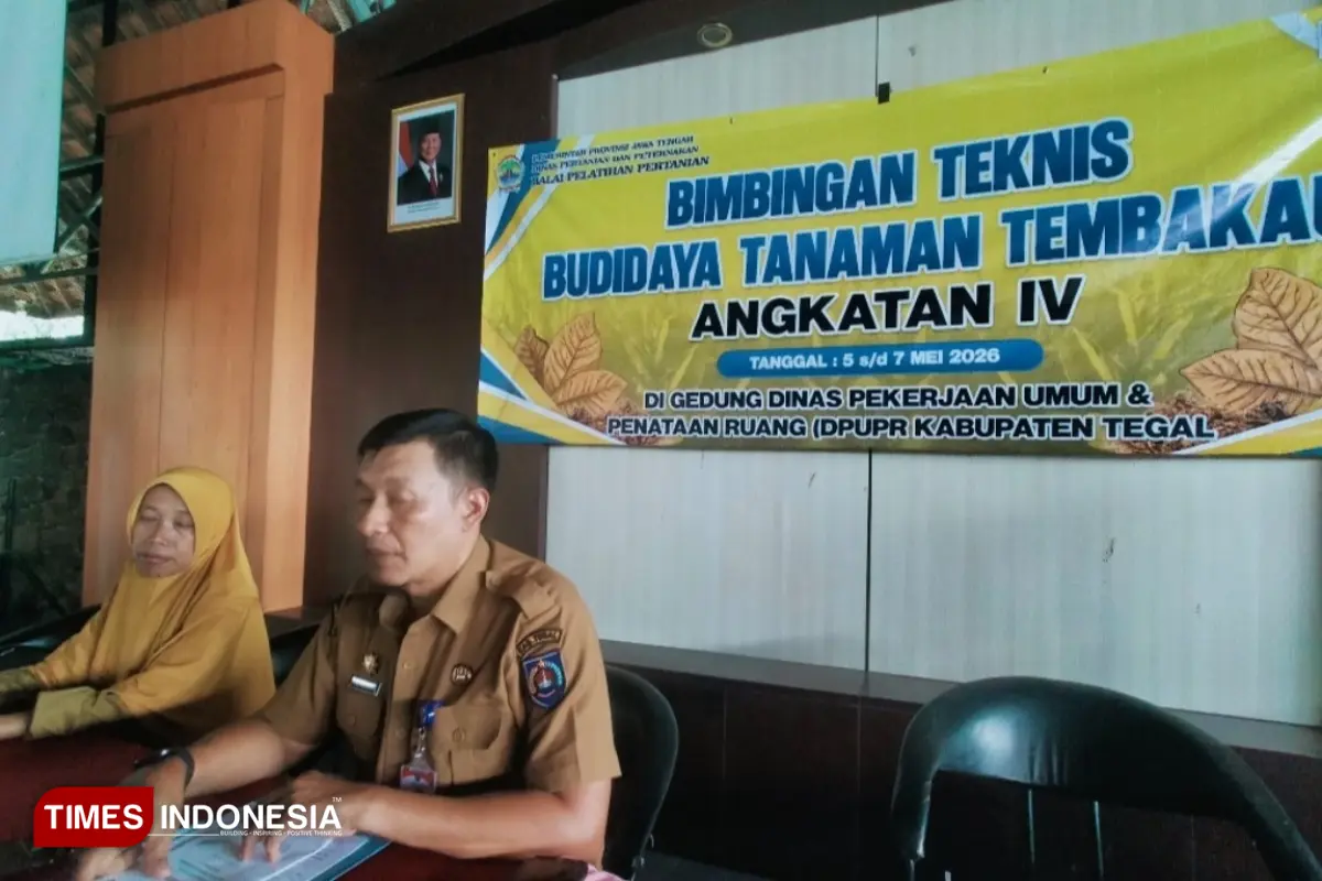 Gairah Petani Tembakau Tegal Terbuka Seiring Peluang Industri