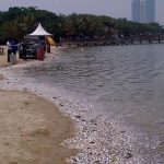 Gratis Masuk Ancol di HUT Jakarta ke-499, Ketahui Jadwal dan Aturan