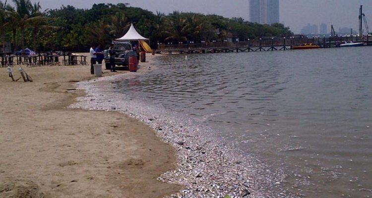 Gratis Masuk Ancol di HUT Jakarta ke-499, Ketahui Jadwal dan Aturan
