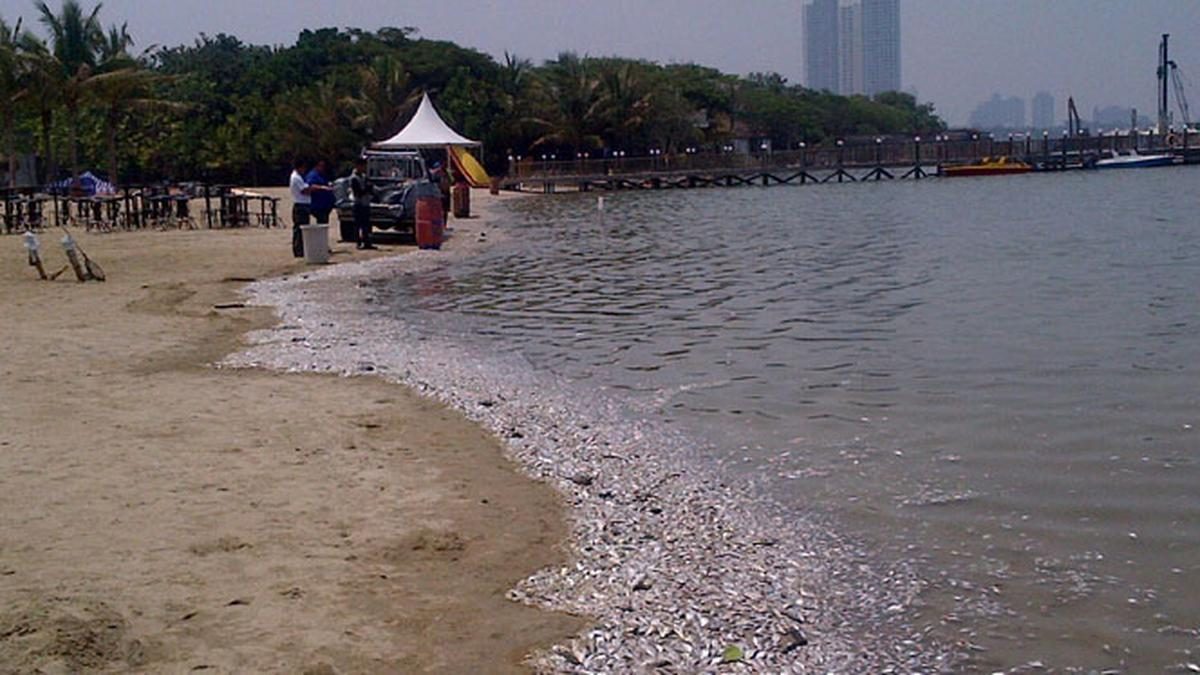 Gratis Masuk Ancol di HUT Jakarta ke-499, Ketahui Jadwal dan Aturan