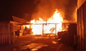gudang-kayu-di-pondok-cabe-ludes-terbakar-89350 Gudang Kayu di Pondok Cabe Ludes Terbakar