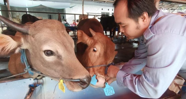 Hewan Kurban di Depok Tidak Layak, Ini Alasannya