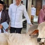 Hewan Kurban Indramayu: Data Terbaru Capai Ribuan Ekor