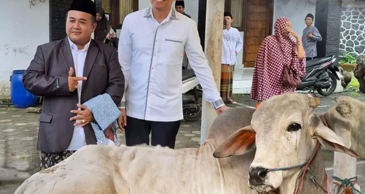 Hewan Kurban Indramayu: Data Terbaru Capai Ribuan Ekor
