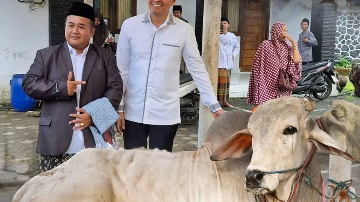 Hewan Kurban Indramayu: Data Terbaru Capai Ribuan Ekor