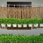 Ide Kebun Kangkung Gantung untuk Halaman Sempit
