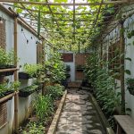 Ide Kebun Rambat Produktif untuk Area Sempit di Rumah