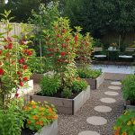Ide Kebun Rosella Cantik, Produktif, dan Penuh Manfaat di Rumah