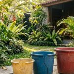 Ide Kreatif Memanfaatkan Ember Bekas untuk Kebun Sayur