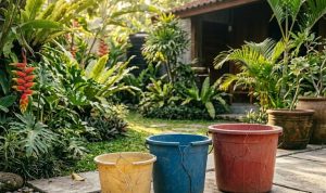 Ide Kreatif Memanfaatkan Ember Bekas untuk Kebun Sayur