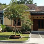 Ide Pembatas Akar Hemat Biaya untuk Rumah Tipe 36 yang Rapi