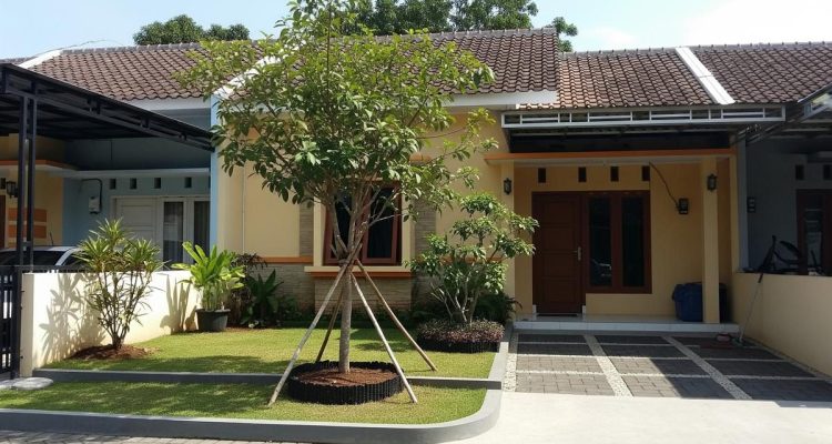 Ide Pembatas Akar Hemat Biaya untuk Rumah Tipe 36 yang Rapi