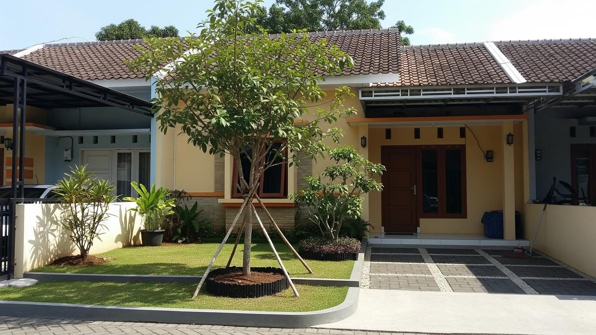 Ide Pembatas Akar Hemat Biaya untuk Rumah Tipe 36 yang Rapi