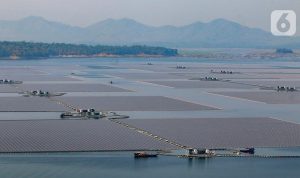 IESR: Dua Tahun Awal Kunci Sukses Program PLTS 100 GW