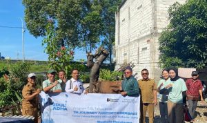 InJourney Airports Distribusikan 79 Sapi dan 10 Kambing ke Seluruh Indonesia