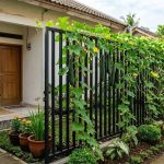 Inspirasi Kebun Gambas Rambat untuk Pagar Rumah yang Asri dan Sehat