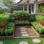 Inspirasi Kebun Sayur Depan Rumah yang Nyaman dan Sejuk