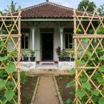Inspirasi Pagar Bambu untuk Timun Rambat di Desa yang Estetik dan Fungsional