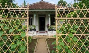 Inspirasi Pagar Bambu untuk Timun Rambat di Desa yang Estetik dan Fungsional