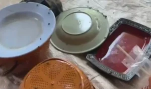 Kandang Ayam Broiler Blok Kamplong: Penyebab Lalat Merajalela dan Ketidaknyamanan Warga Drunten Wetan