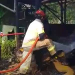 Kebakaran Gudang Kardus Totoran: Damkar Indramayu Berjibaku Padamkan