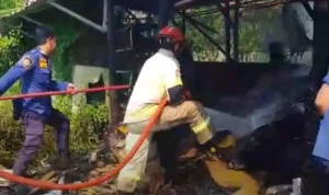 Kebakaran Gudang Kardus Totoran: Damkar Indramayu Berjibaku Padamkan